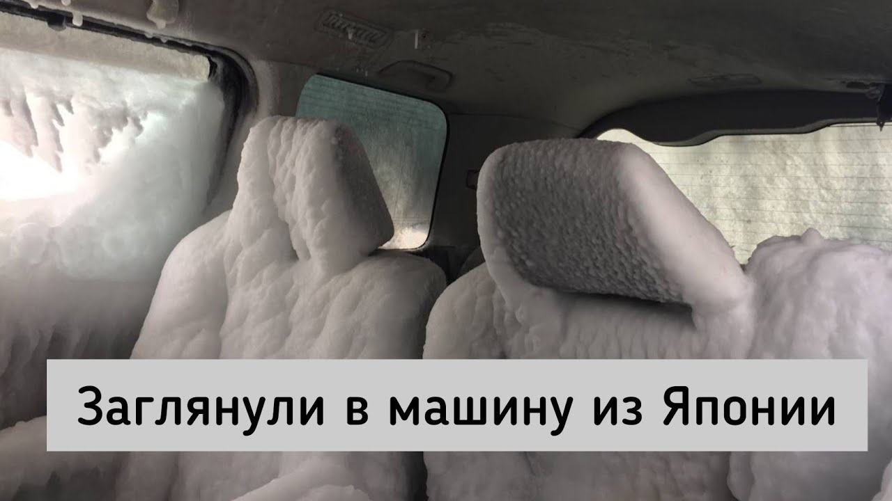 Машины покрытые раптором