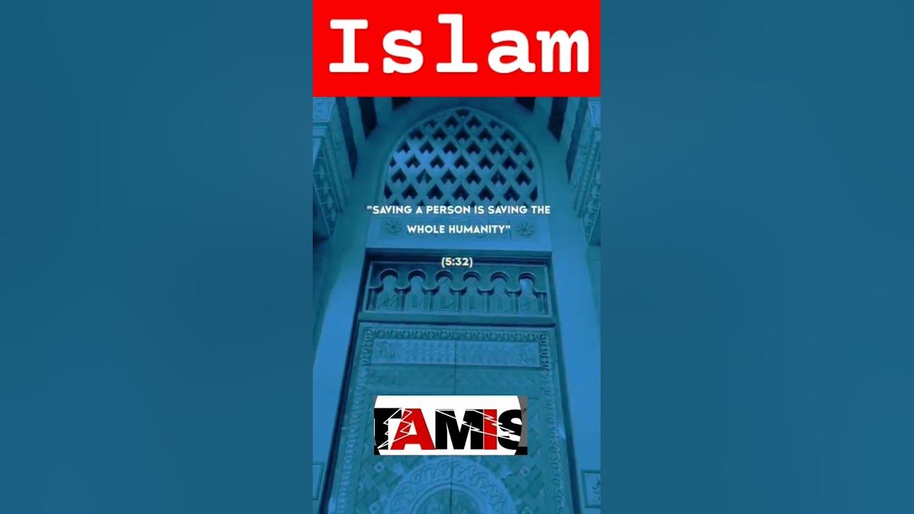 what-islam-teaches-us-islam-islamicstatus-muslim-shorts-quran