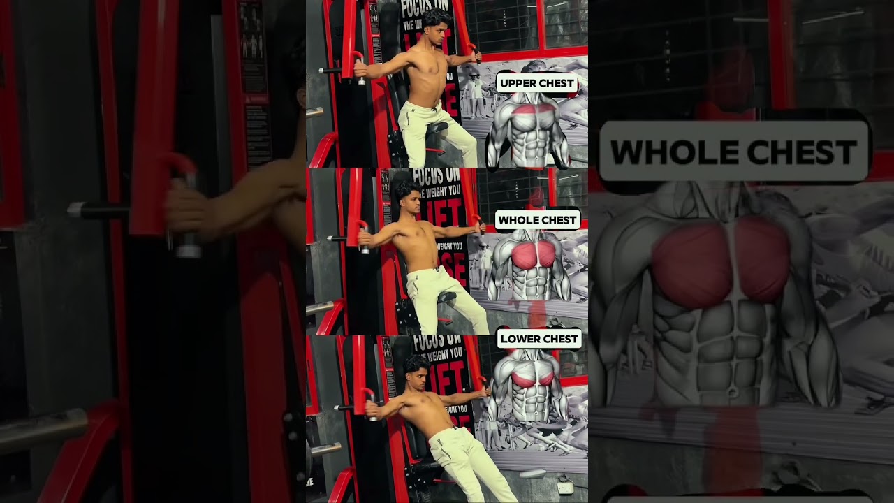 How to Hit Upper, Middle & Lower Chest