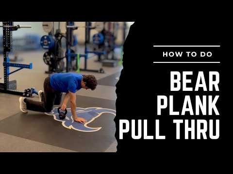 Bear Plank Pull Thru (Exercise Library)