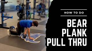 Bear Plank Pull Thru (Exercise Library)