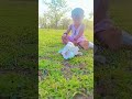 Q T Nitya 🥰 Khel rahi hai 😱🥰#sorts#cute #viralvideo