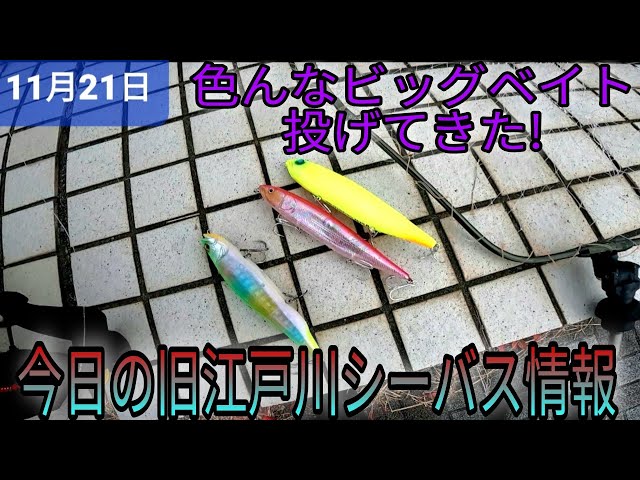 メガドッグ‼️ヒュージペンシル‼️ダウズジャーク‼️断捨離‼️☺︎‼️ YouTube