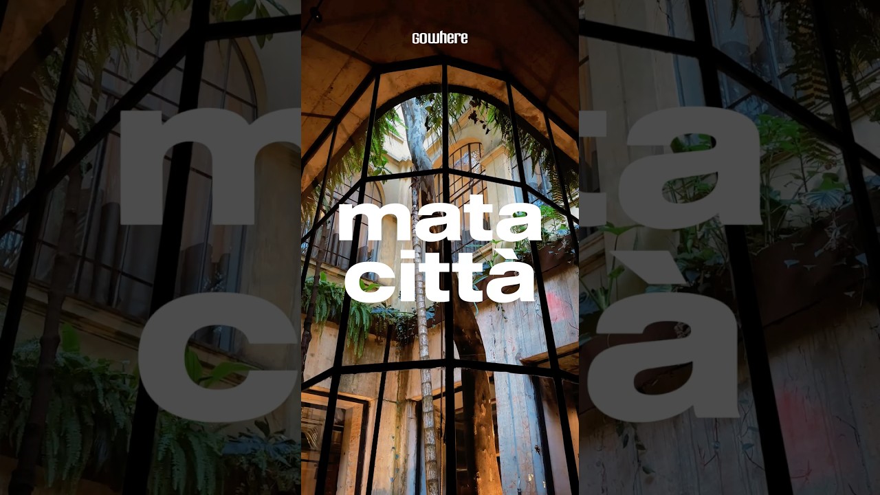 O NOVO ÍCONE PAULISTANO | MATA CITTÀ