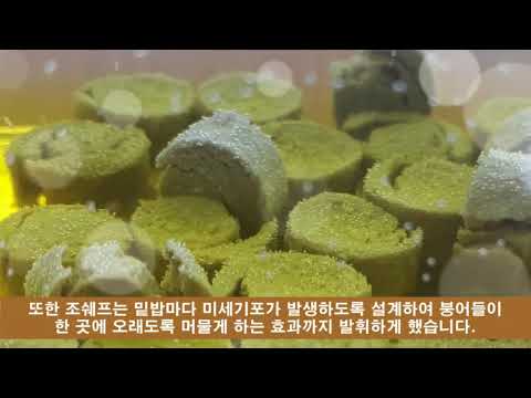 조쉐프