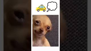 #позитив #подпишись #такси #бишкек #кыргызстан #работа #рекомендации #топ #водитель #работавтакси