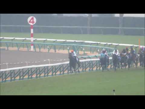 平成最後の有馬記念（2018）