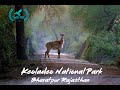 Wildlife photography and birding at the keoladeo national park bharatpur rajasthan india