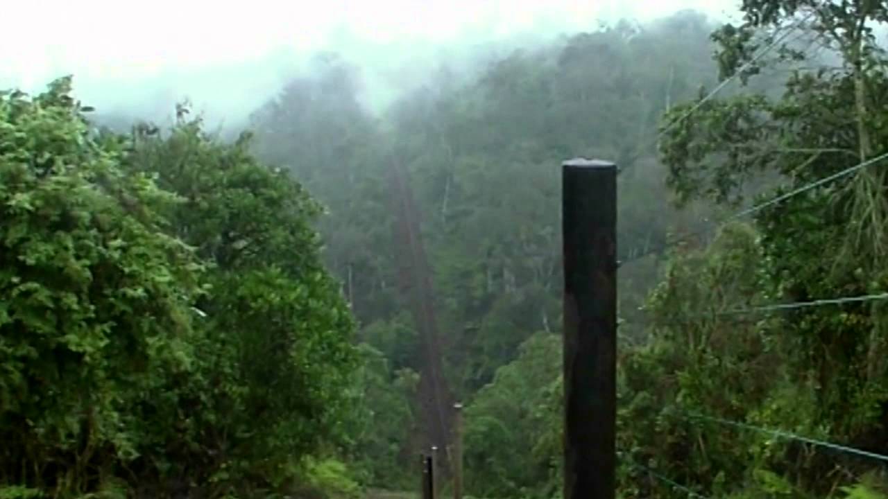 History of Rhino Ark Charitable Trust