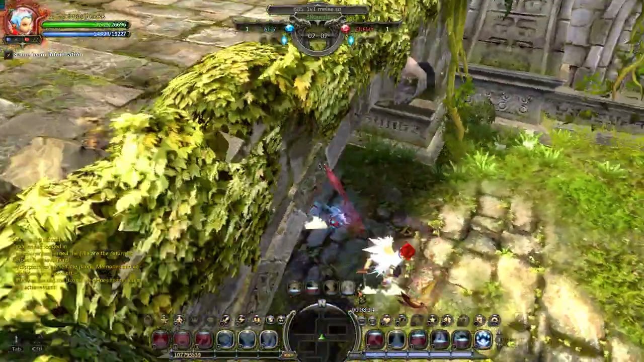 DN Classic Mercenary pvp guide vs pro Mercenary Foxee