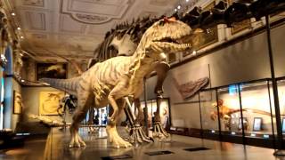 Dinosaurio animatronics en museo Viena