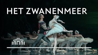 Het Zwanenmeer (2019): trailer - Het Nationale Ballet