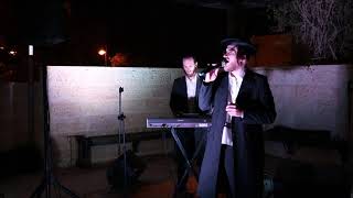 Video thumbnail of "מנחם לב ושלמה דווידוביץ בביצוע מטורף לשיר "מלוך על כל העולם כולו""