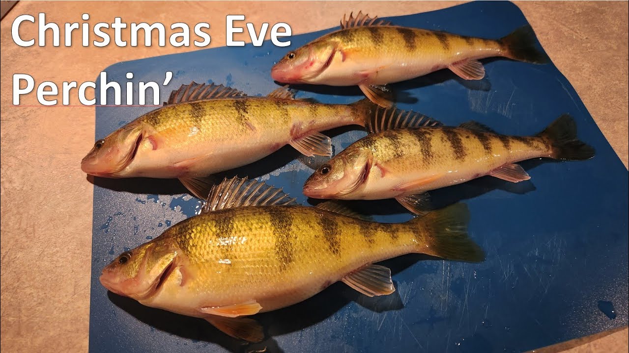 Green Bay Perch Fishing on Christmas Eve! 