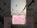 #mohabbat #shayr