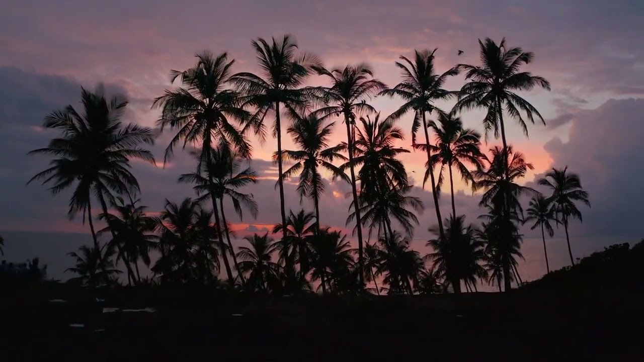 Goa Tourist places | Tropical Paradise | Party Capital of India | Must-Visit Destinations, Beaches