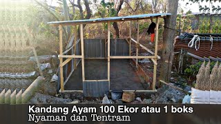 Ternak Ayam Broiler rumahan 100 ekor - HARI KE-1. 