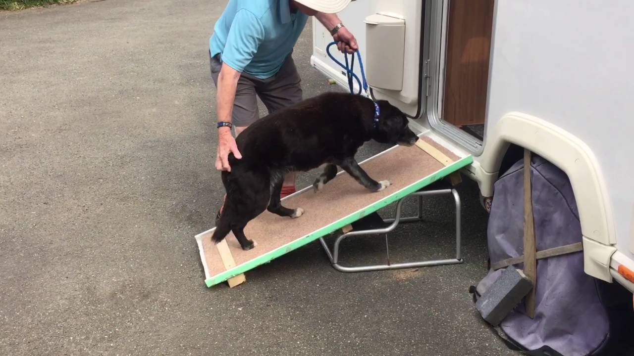dog ramp for caravan