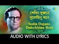 Se din dujane dulechhinu with lyrics  hemanta mukherjee  song