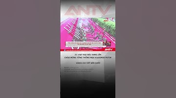 Đại bác nổ vang trời chào mừng Tổng thống Nga Vladimir Putin tới thăm Việt Nam #antv #shorts #putin