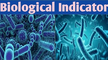 Biological Indicator| Sterility Indicator|microbiology|3 sem #jitendrapatel #biologicalindicators