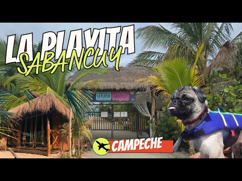 Más Allá Del Caribe: Las 3 Playas Cerca De Tabasco Que Te Sorprenderán Este Verano 4 La Playita Sabancuy | Guia Completa | #Sabancuy #Campeche