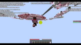 Randomcraft Skywars Hacker#3
