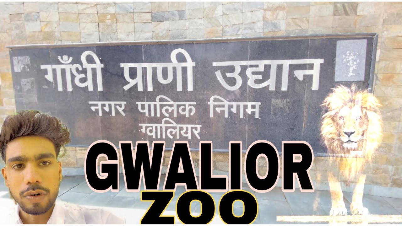 GWALIOR ZOO 2023 ग्वालियर चिड़ियाघर VLOGTHE ADVENTURES VLOG 1.O