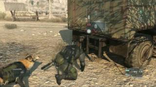 Ten Essential Tips for The Phantom Pain