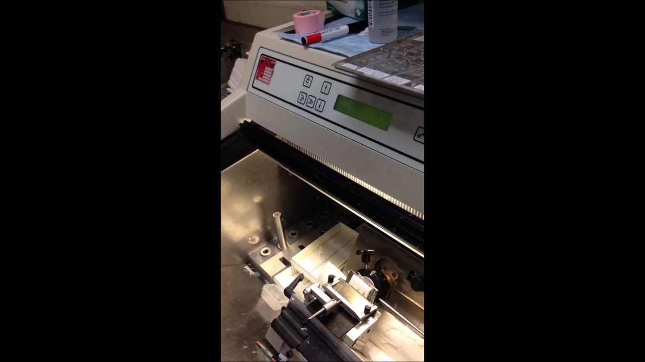 Me cutting thin tissue slices