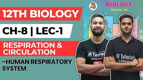12th Biology | Chapter 8 | Respiration & Circulation | Lecture 1 | Human Respiratory System |