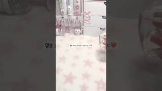 미니브 팝업#아이브#아이브팝업#팝업스토어#미니브#알고리즘떠라#알고리즘떠라제발#관리자님추천뜨게해주세요