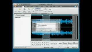 How To Apply Filters And Effects To Audio Track Using Avs Audio Editor?