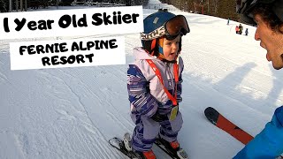 1 Year Old Skiier at Fernie Alpine Resort