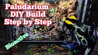 How To Build A Paludarium DIY