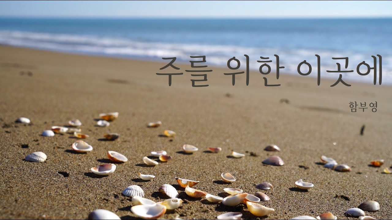 주를 위한 이곳에 - 함부영