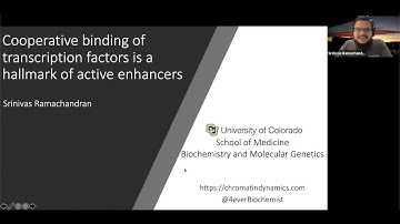 Srinivas Ramachandran: "Cooperative binding of transcription factors is a hallmark of active enh..."