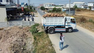 Wonderful Start to the Project! Land Filling | Bulldozer & Dump Trucks Powerfully Push Stone & Soil