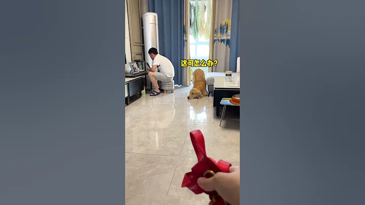 诶~ 今天又是狗狗祟祟的一天 - 天天要闻