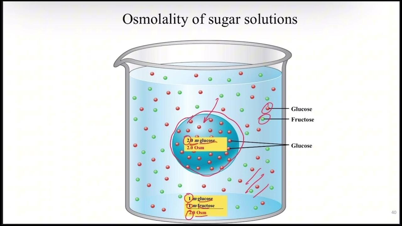 Osmolarity&osmolality&tonicity. YouTube