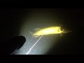 Подводная охота ночная, Днепр. Ружье "пеленгас" 45.