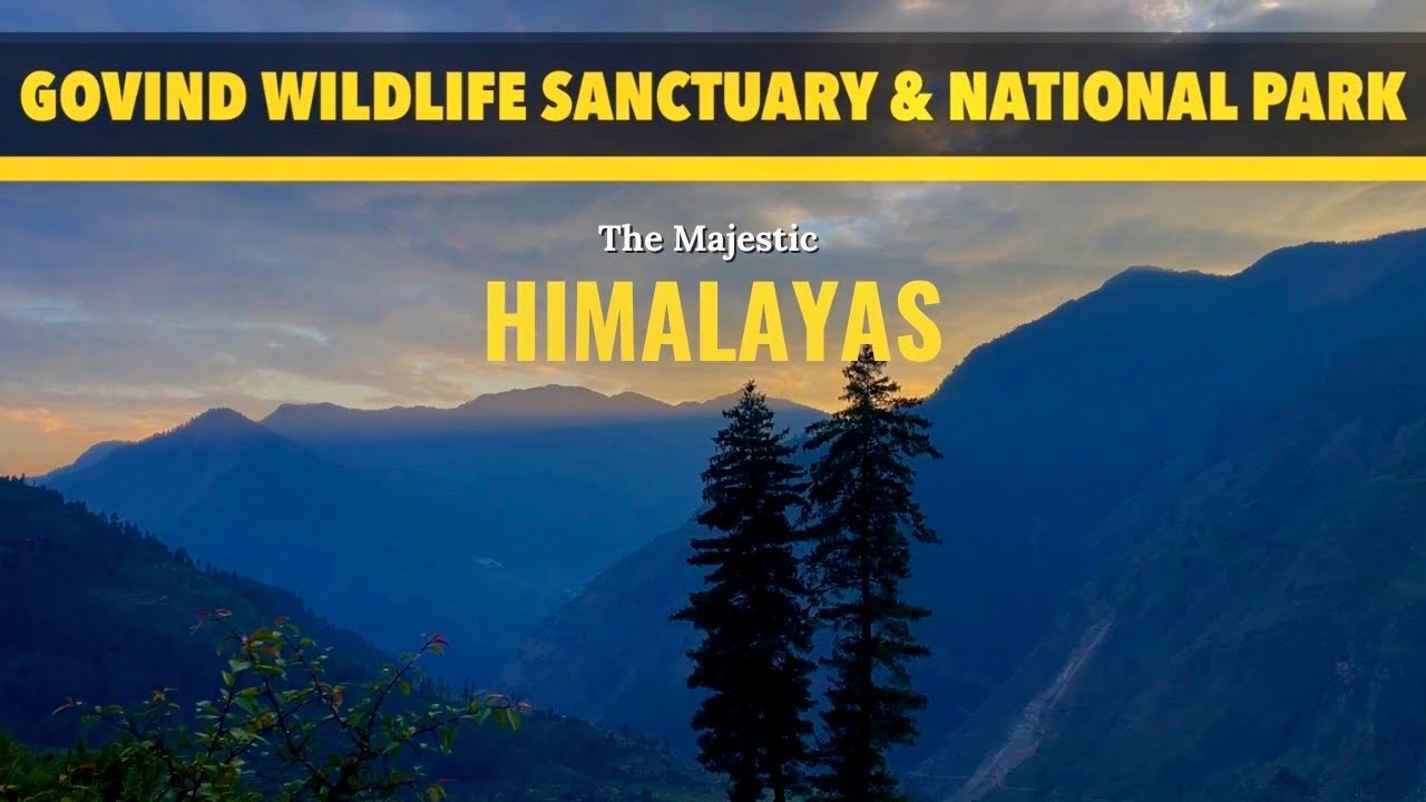 Govind Wildlife Sanctuary & National Park: Rupin Valley - A Birder's Paradise