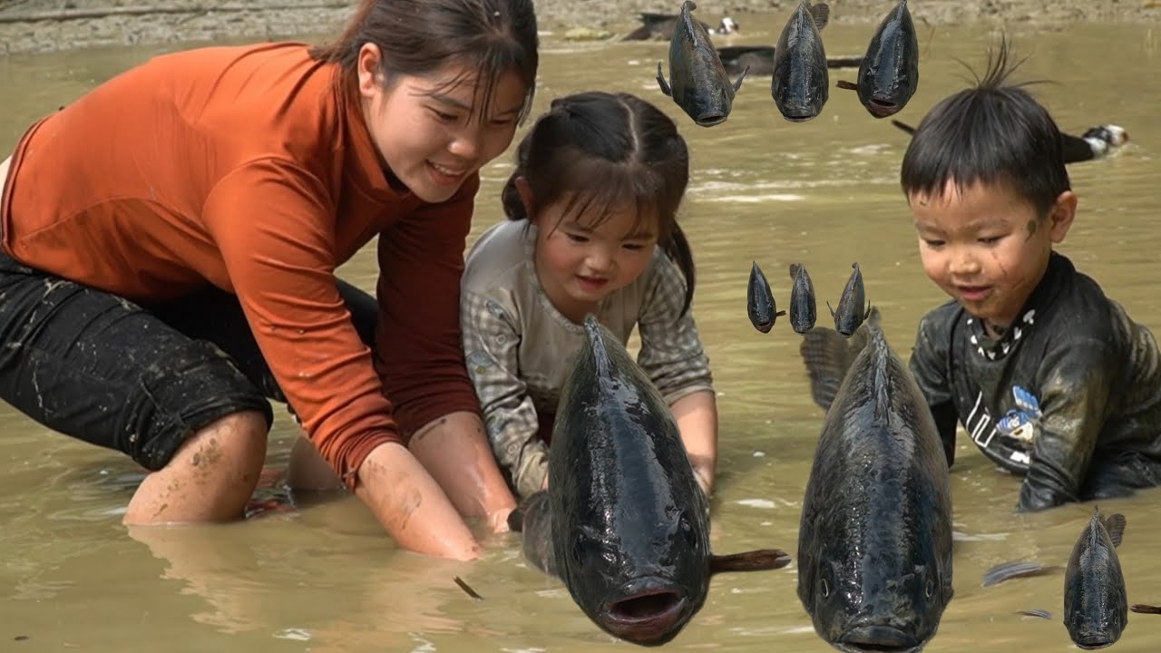 Unexpectedly, my shirt had a huge fish on it, enjoying grilled fish, everyday life.