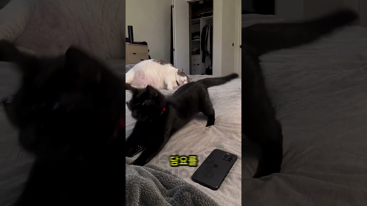 🕳️😲 마법 같은 구멍은 어디로 사라진 걸까? 마지막에 펼쳐지는 놀라운 마술! 😂🤯