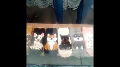 Doggy socks display