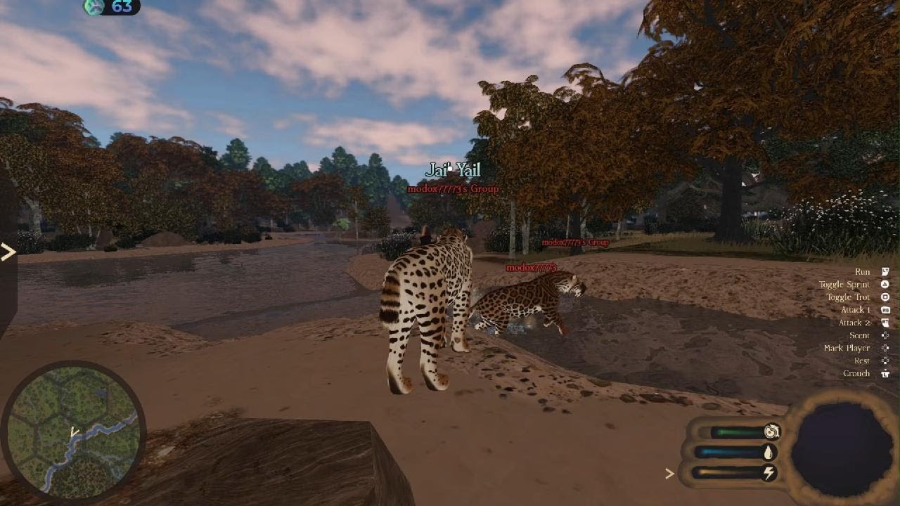 Another Day in the wild