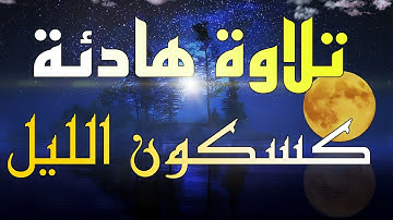 تلاوة هادئة كسكون الليل - 50 دقيقة من الهدوء لكل من ضاقت به الدنيا - تلاوة تريح القلب والعقل