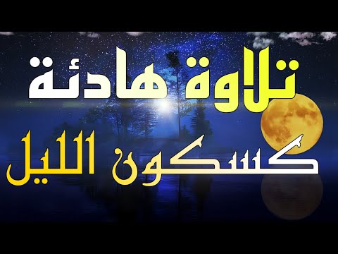 تلاوة هادئة كون الليل  دقيقة من الهدوء لكل من ضاقت به الدنيا تلاوة تريح القلب والعقل