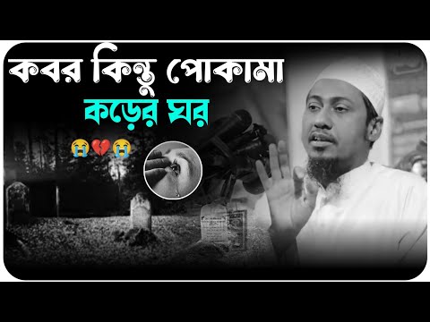 😭🥀😭কবর কিন্তু পোকামাকড়ের ঘর😥💔😥মাওলানা আনিসুর রহমান আশরাফী ওয়াজ 2025 Anisur Rahman Ashrafi waz ২০২৫ – মাওলানা আনিসুর রহমান আশরাফী