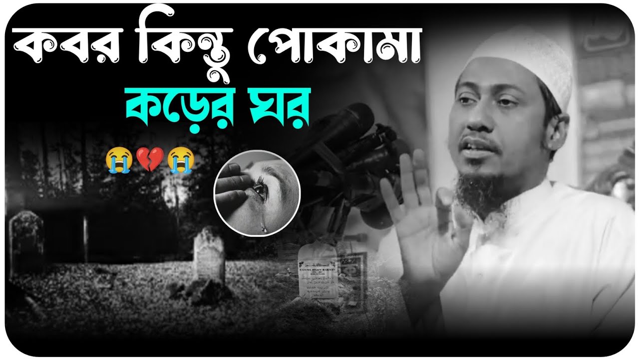 😭🥀😭কবর কিন্তু পোকামাকড়ের ঘর😥💔😥মাওলানা আনিসুর রহমান আশরাফী ওয়াজ 2025 Anisur Rahman Ashrafi waz ২০২৫